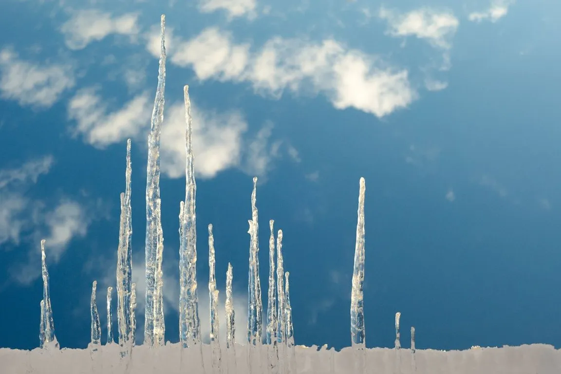 a group of ice - covered plants in front of a blue sky