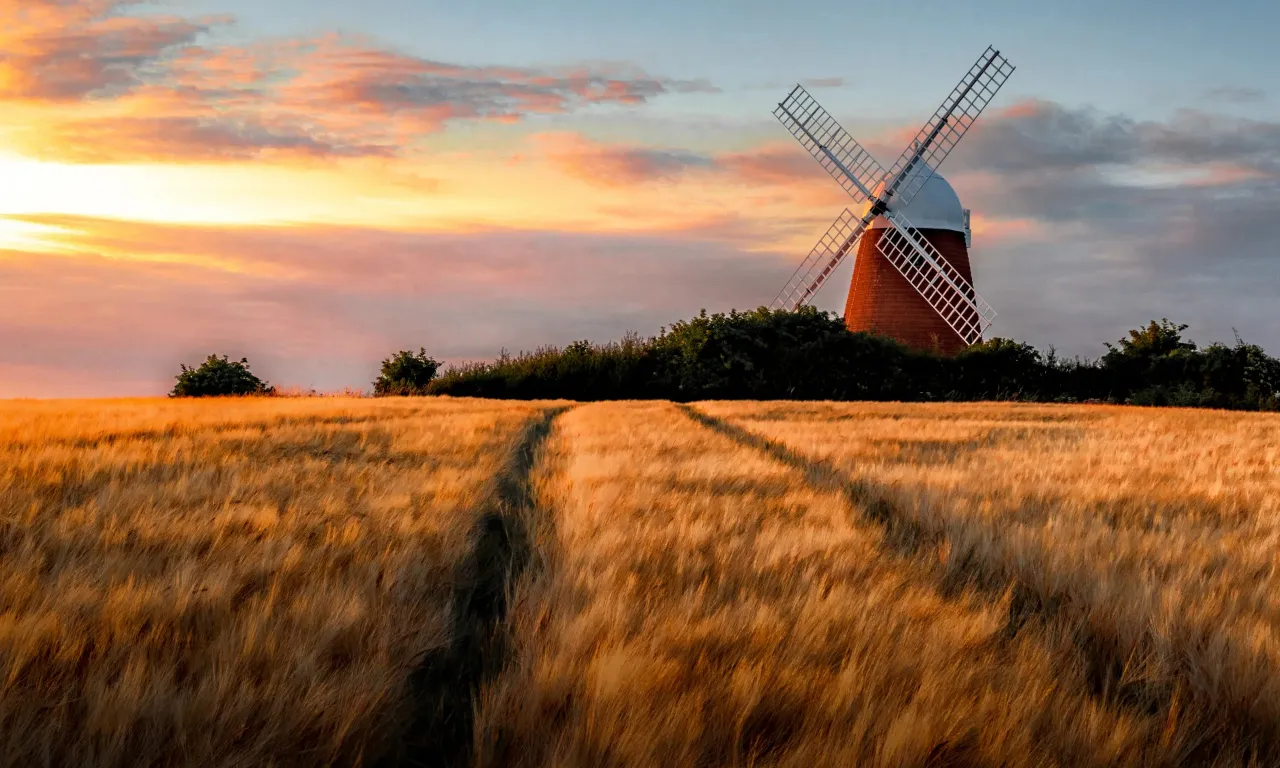 a windmill in the middle of a wheat field