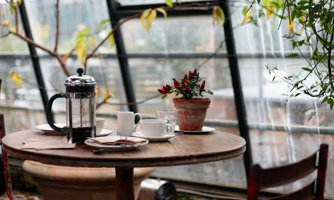 a table with two cups of coffee and a potted plant