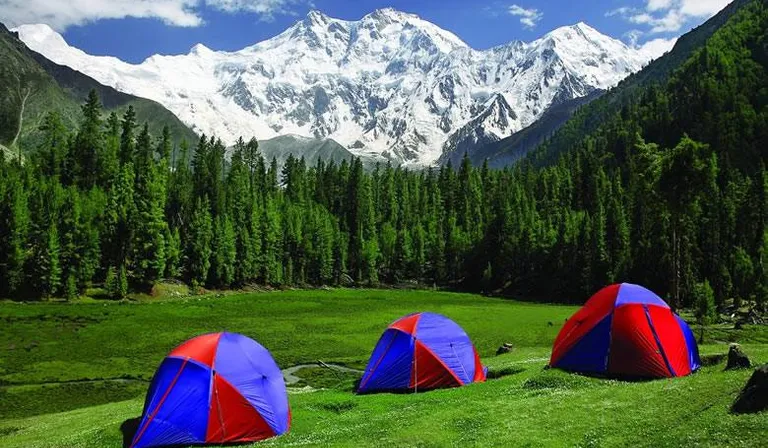 a group of tents sitting on top of a lush green field