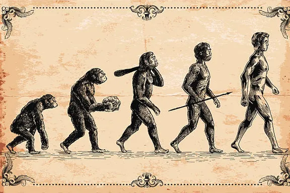 an image showing the theory of evolution by charles darwin