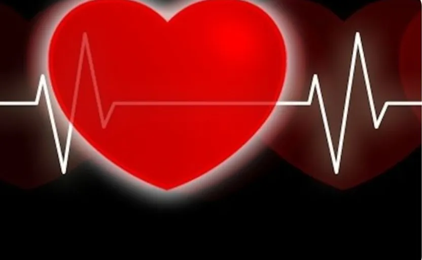 a red heart with a line of ecg on it