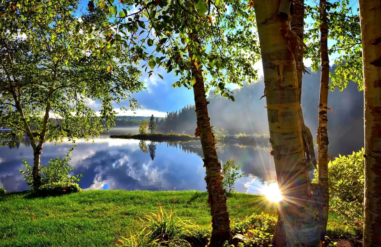 a lake surrounded by trees with the sun shining through the trees