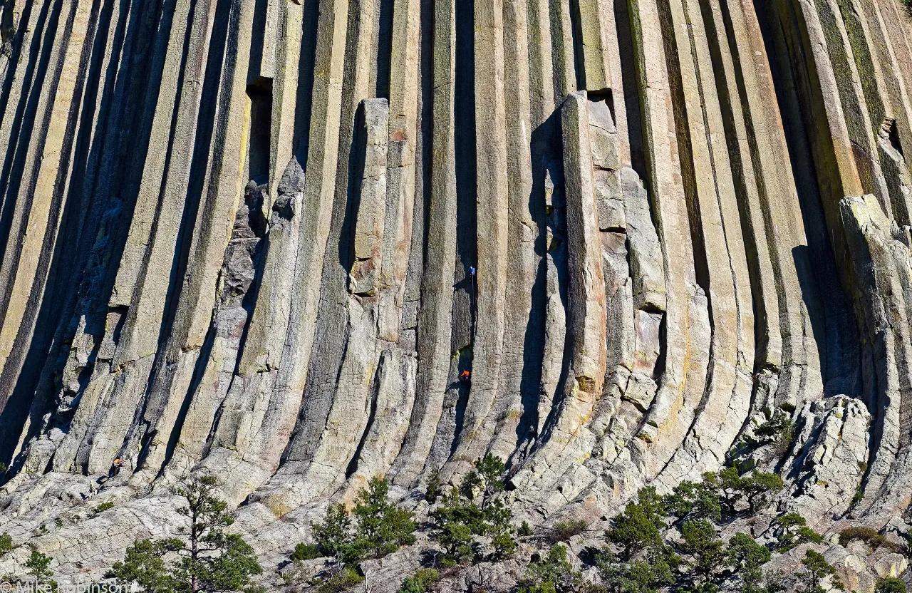 a large rock formation in the middle of a forest