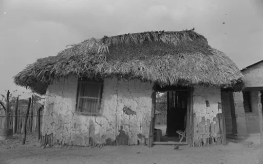 a black and white photo of a house with a thatched roof