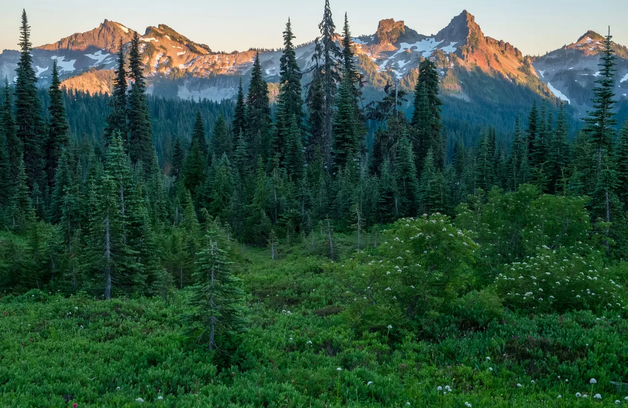 a view of a mountain range with trees in the foreground