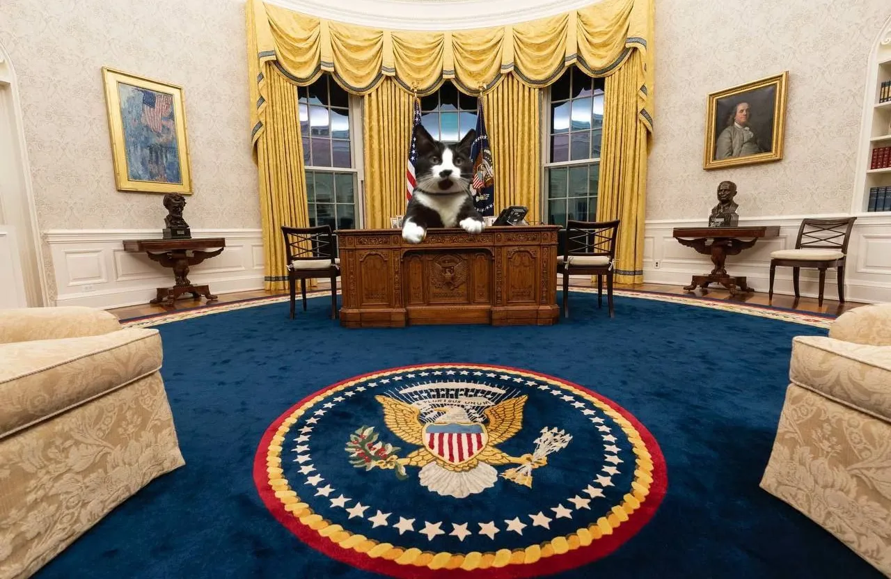 a dog sitting at a desk in the oval room of the white house