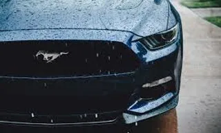 a close up of the front of a blue mustang