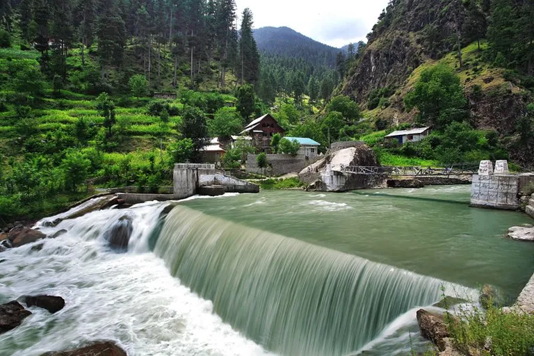 a river running through a lush green forest