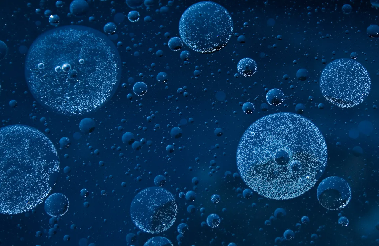 a bunch of bubbles that are in the water