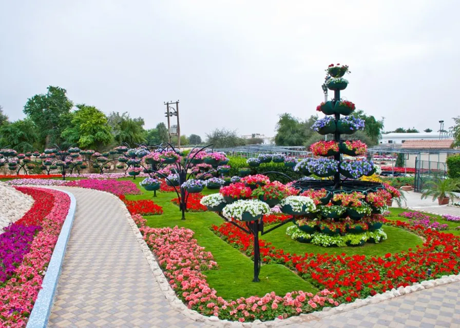 a garden filled with lots of colorful flowers