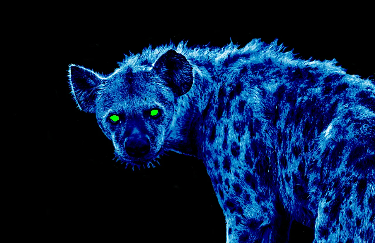 a blue spotted hyena with green eyes