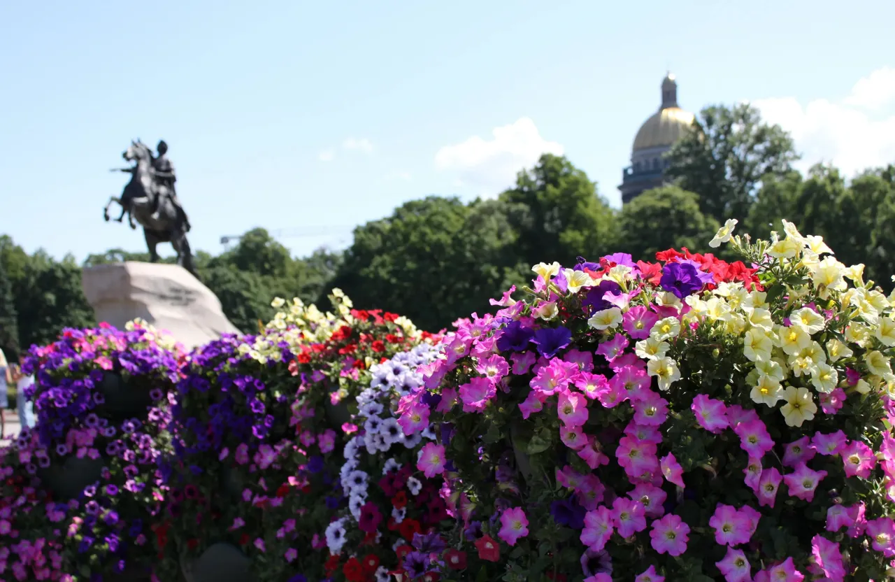 a statue of a man on a horse is in the background of a row of