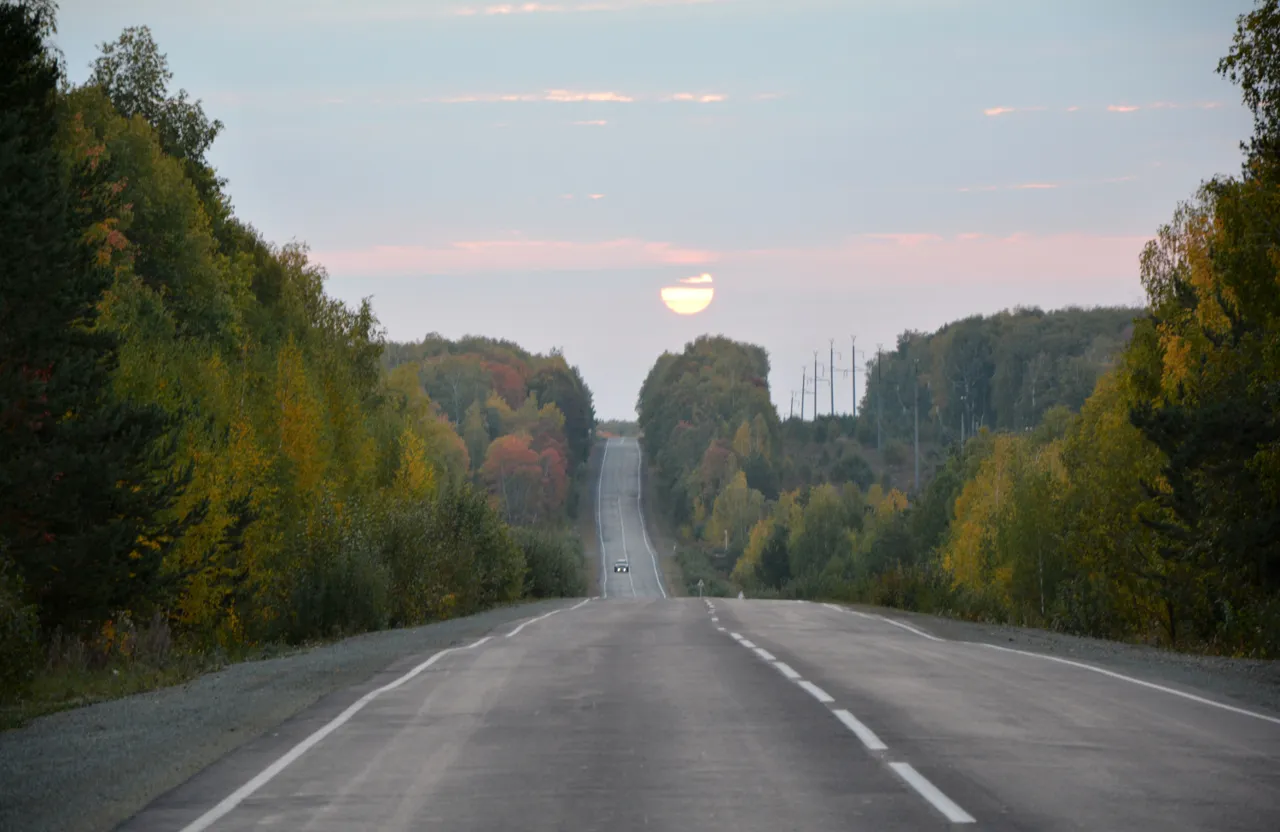 an empty road surrounded by trees with the sun in the distance