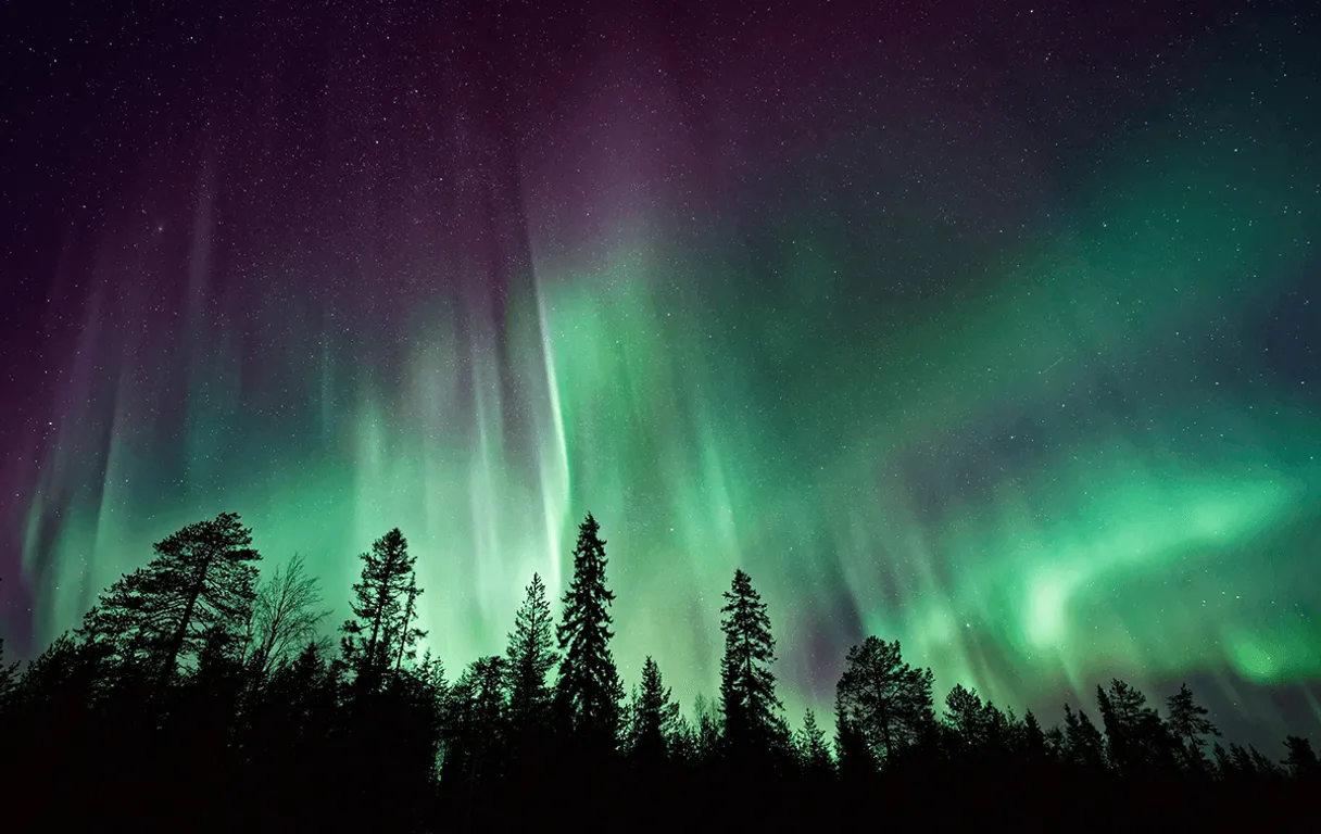 a green and purple aurora bore in the night sky