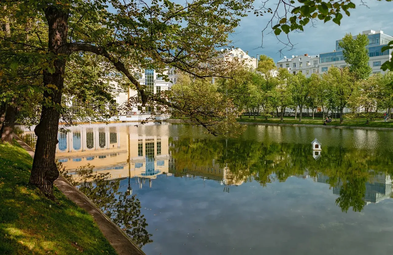 a body of water surrounded by trees and buildings