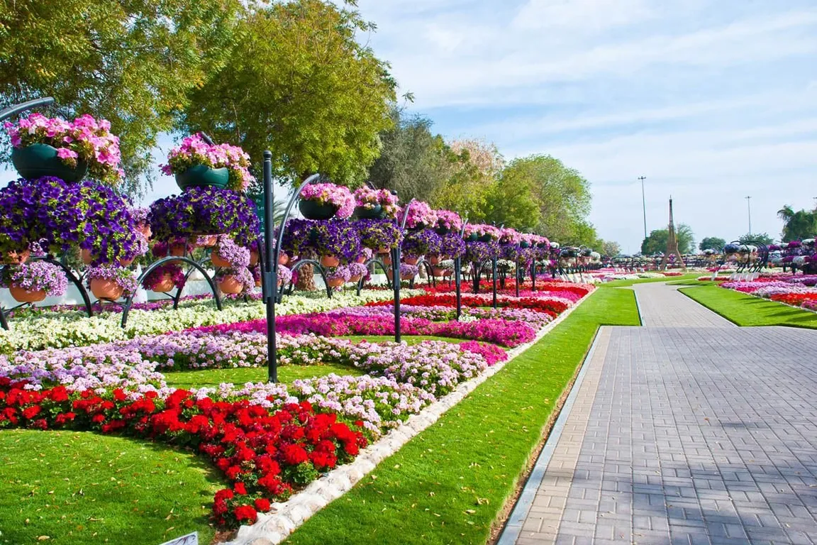 a flower garden with lots of colorful flowers