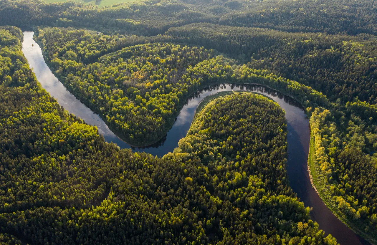 water resources, plant community, ecoregion, natural landscape, fluvial landforms of streams, highland, vegetation, body of water, grass, watercourse