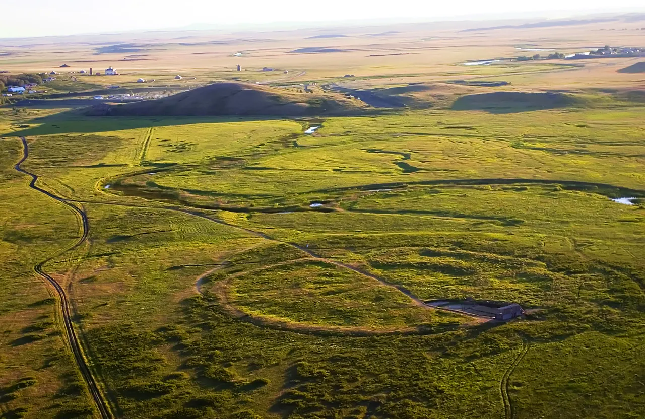 an aerial view of a grassy area with a river running through it