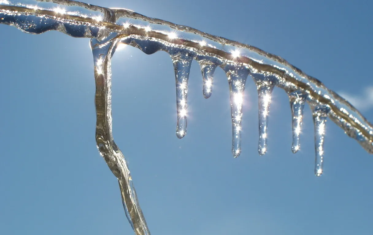 icicles hanging from a tree branch with a blue sky in the background