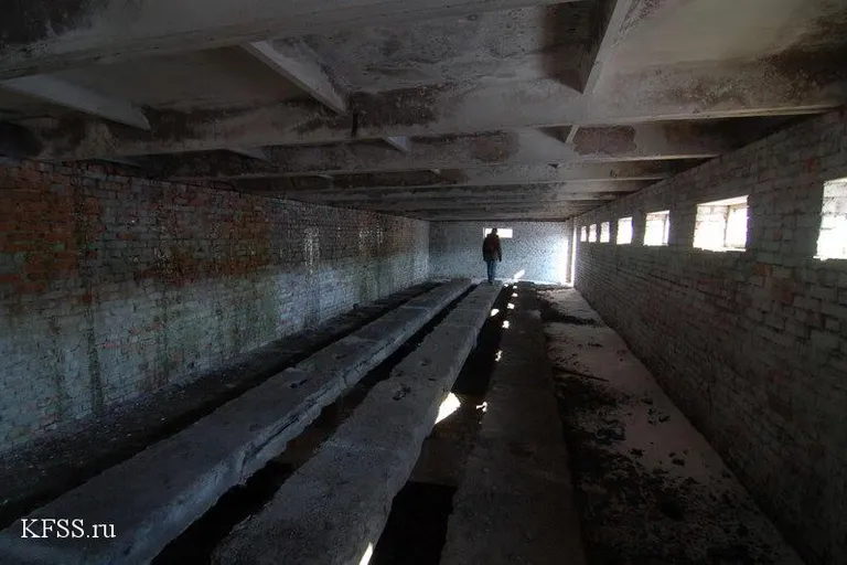 a person standing in a dark room with lots of windows