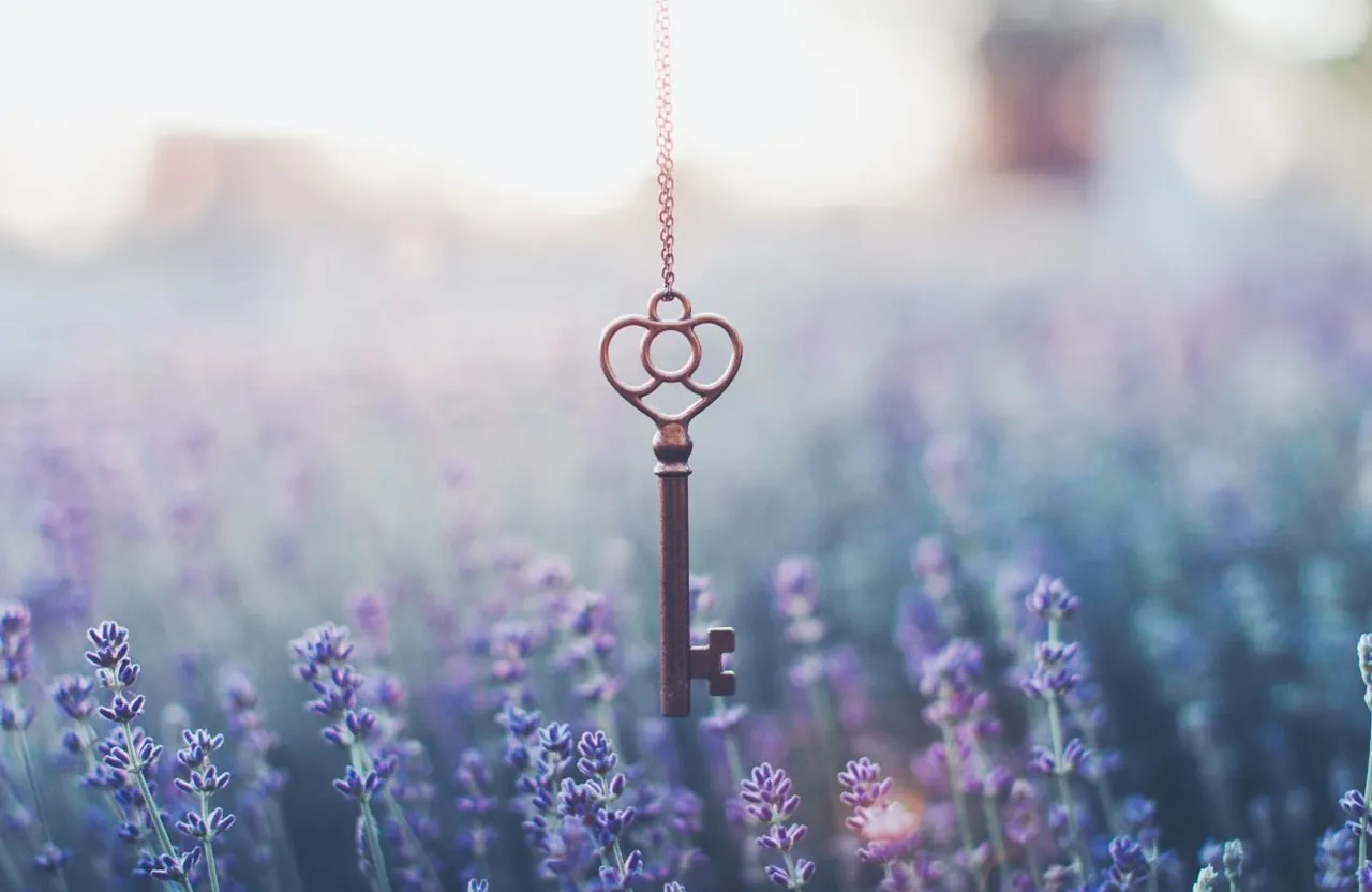 a key hanging from a chain in a field of flowers