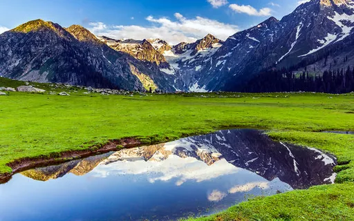 a grassy field with a mountain range in the background