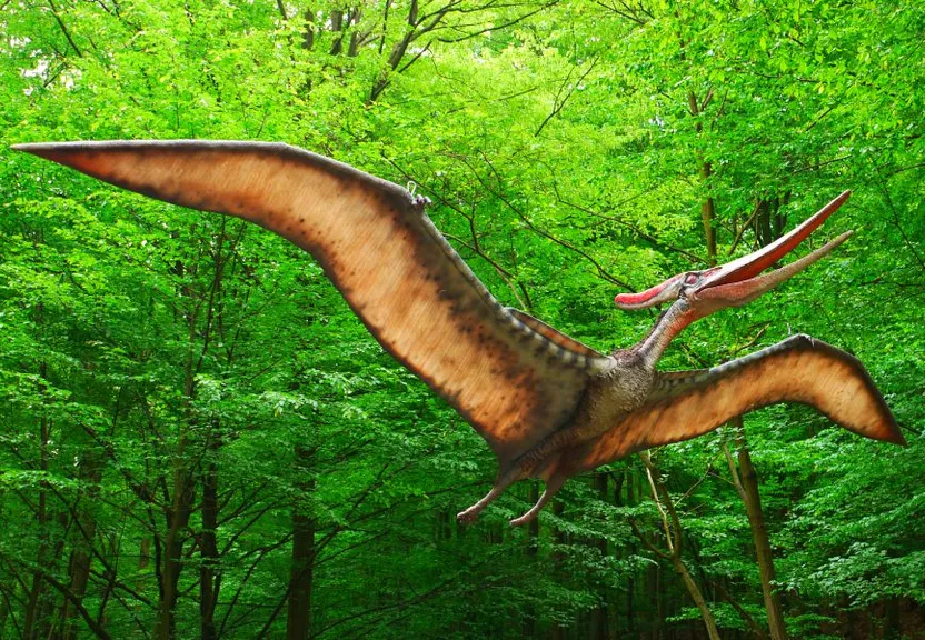 a large bird flying through a lush green forest