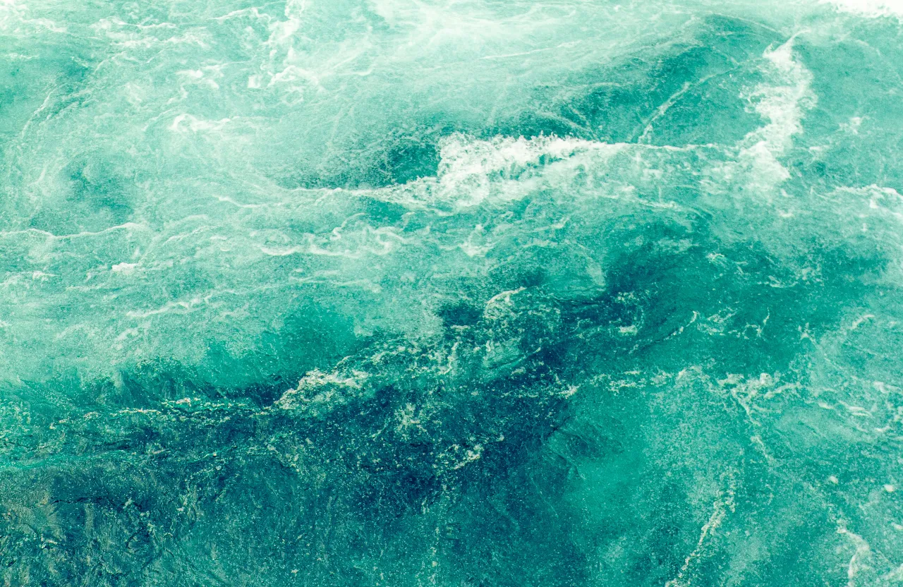 An aerial view of a large body of water covered in emerald green algae, with a few boats and white birds flying overhead