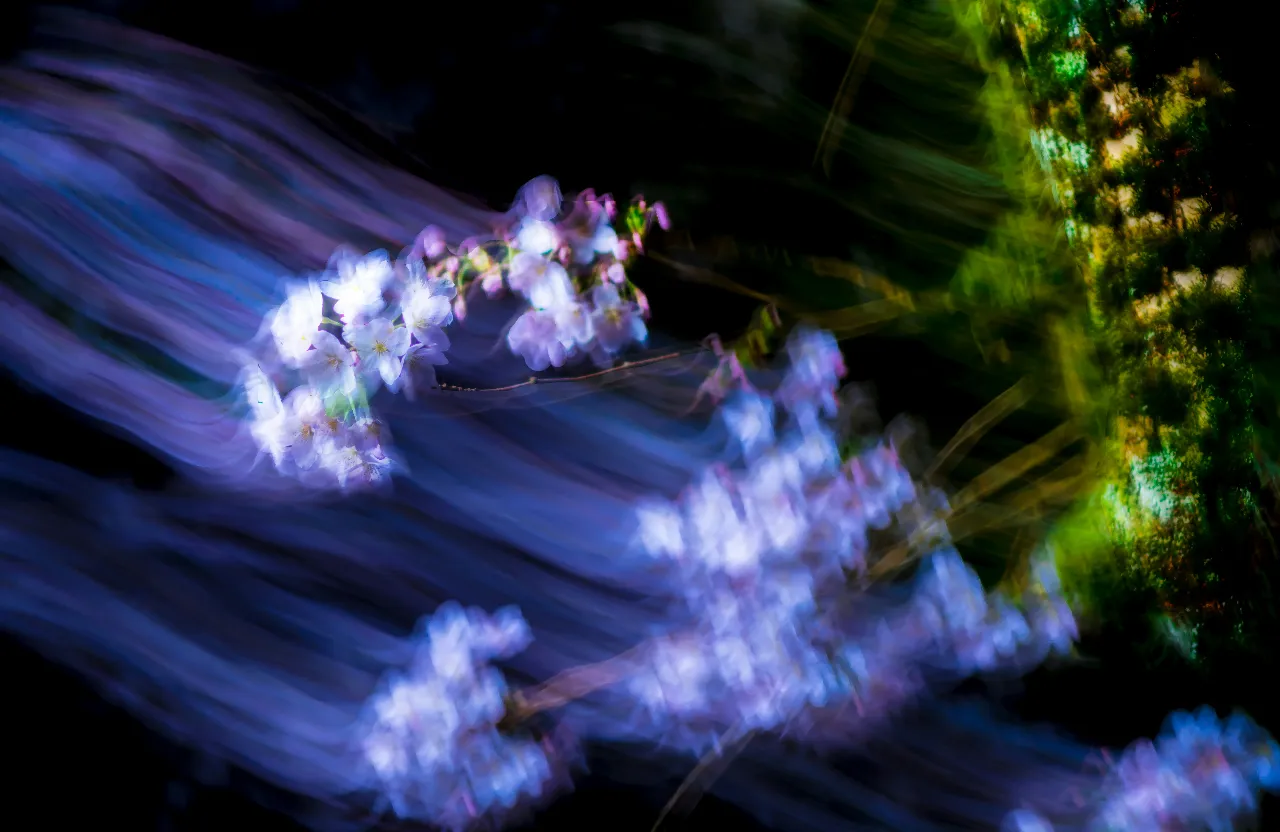 a blurry photo of a bunch of flowers