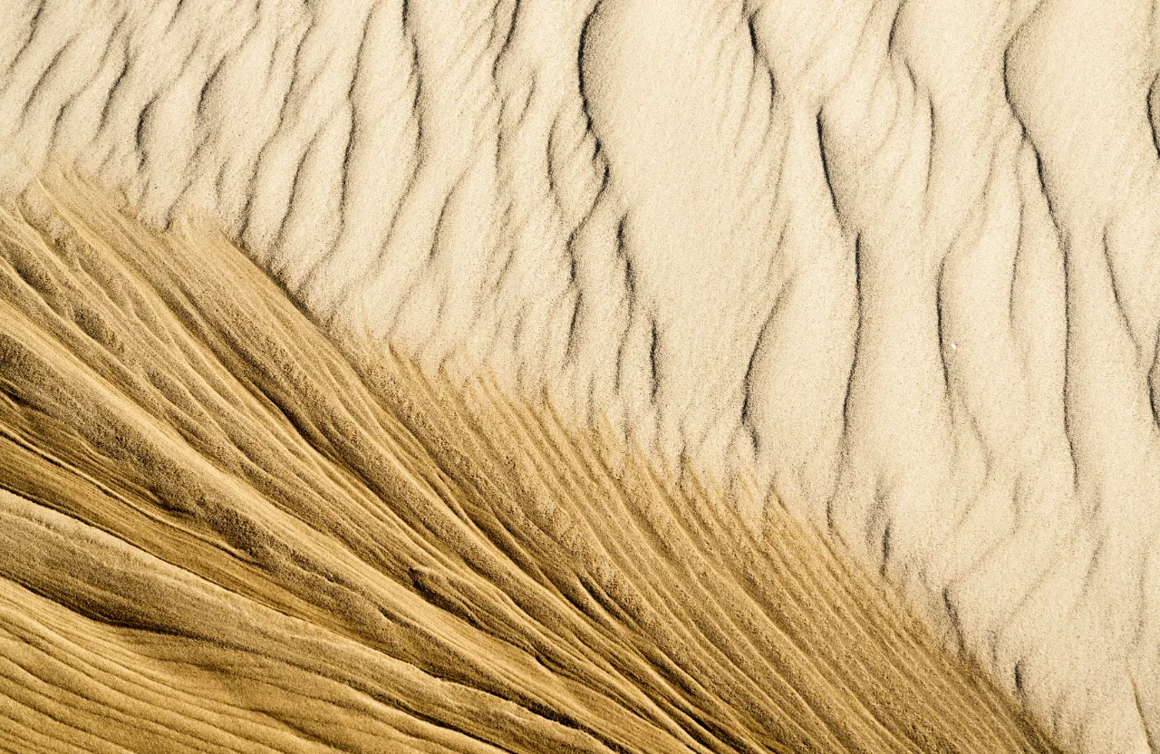 A close-up of a single sand dune ripple, windblown and backlit by the sun