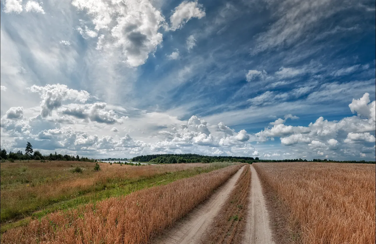 An archway made of clouds, with a road leading towards a bright light in the distance