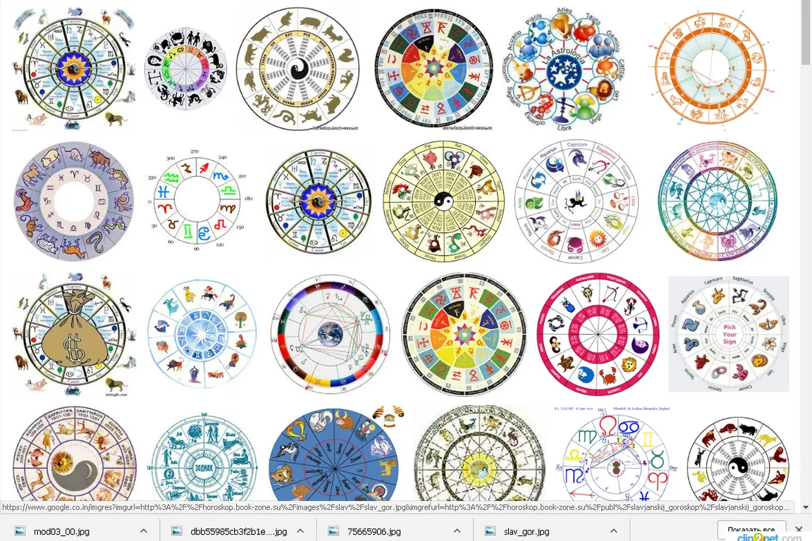 a bunch of different colored circles on a white background