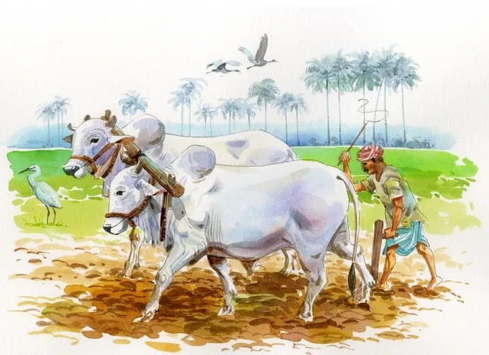 a painting of a man leading two cows