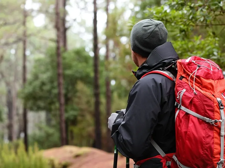 a man with a backpack walking through the woods