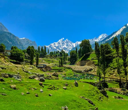 a green valley with mountains in the background