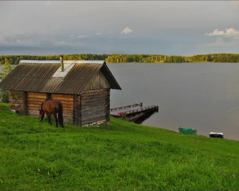 Animate water, horse and water, video is static. Doris until 16:9