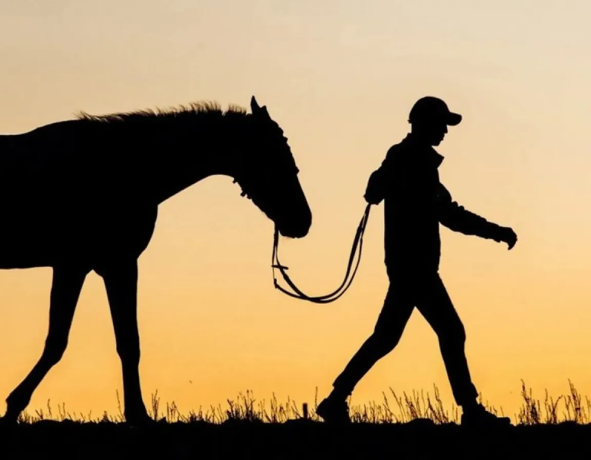 a silhouette of a man walking a horse