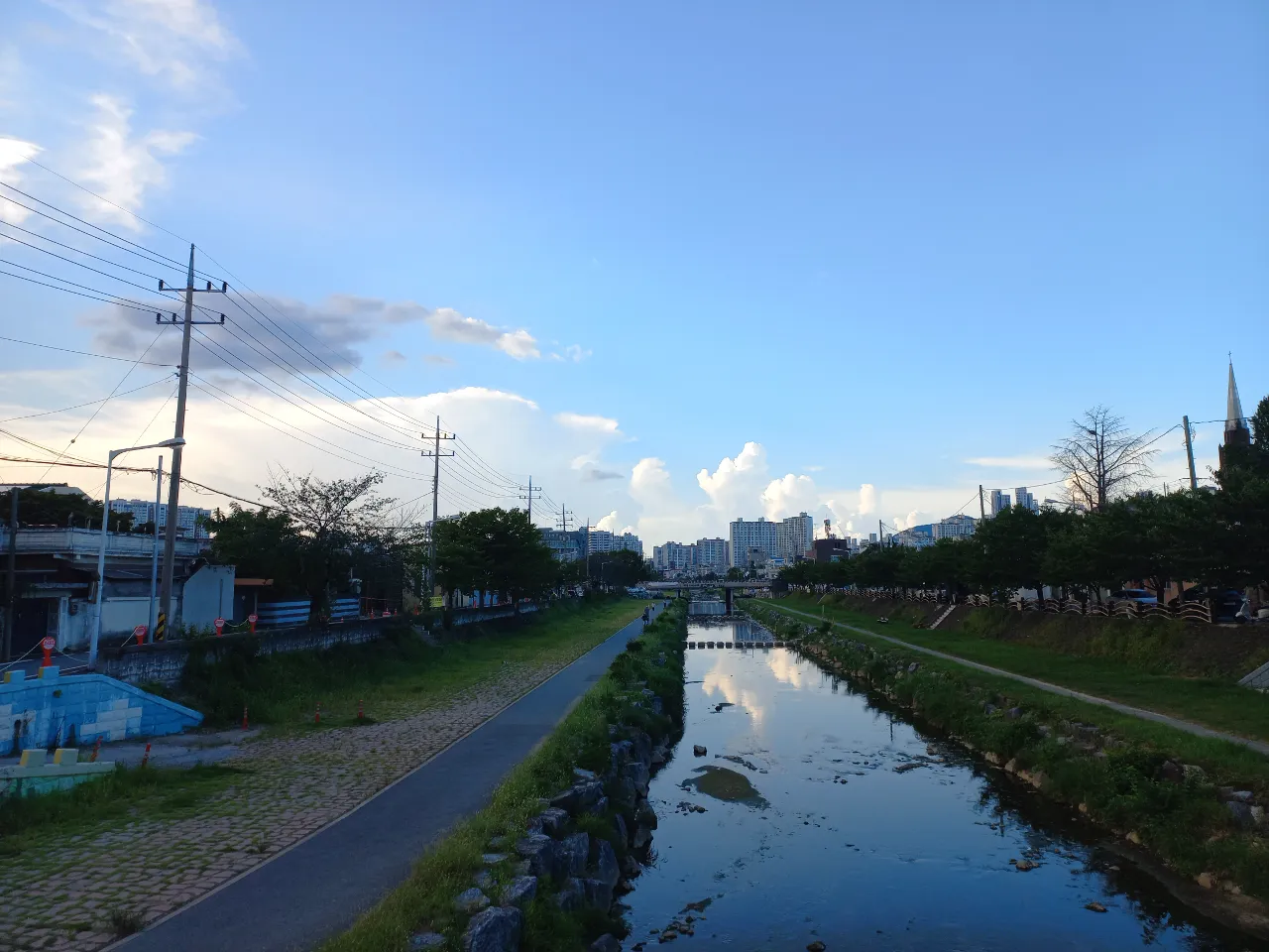 a river running through a lush green park