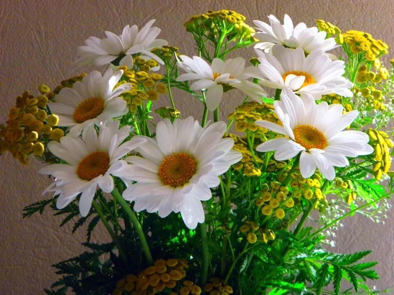 a vase filled with lots of white and yellow flowers  movement from the wind