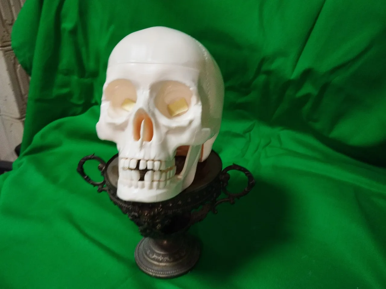 a fake skull sitting on top of a table