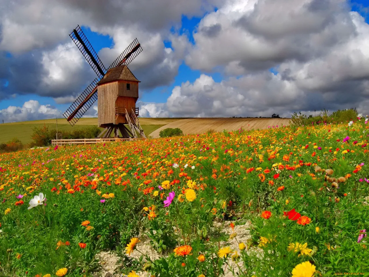 a windmill in a field of flowers under a cloudy sky