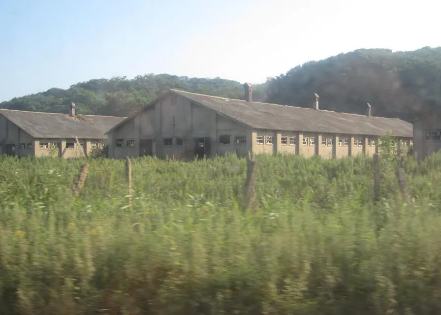 a house in the middle of a field of tall grass