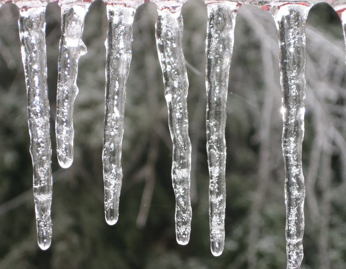 icicles hanging from a wire in front of a tree