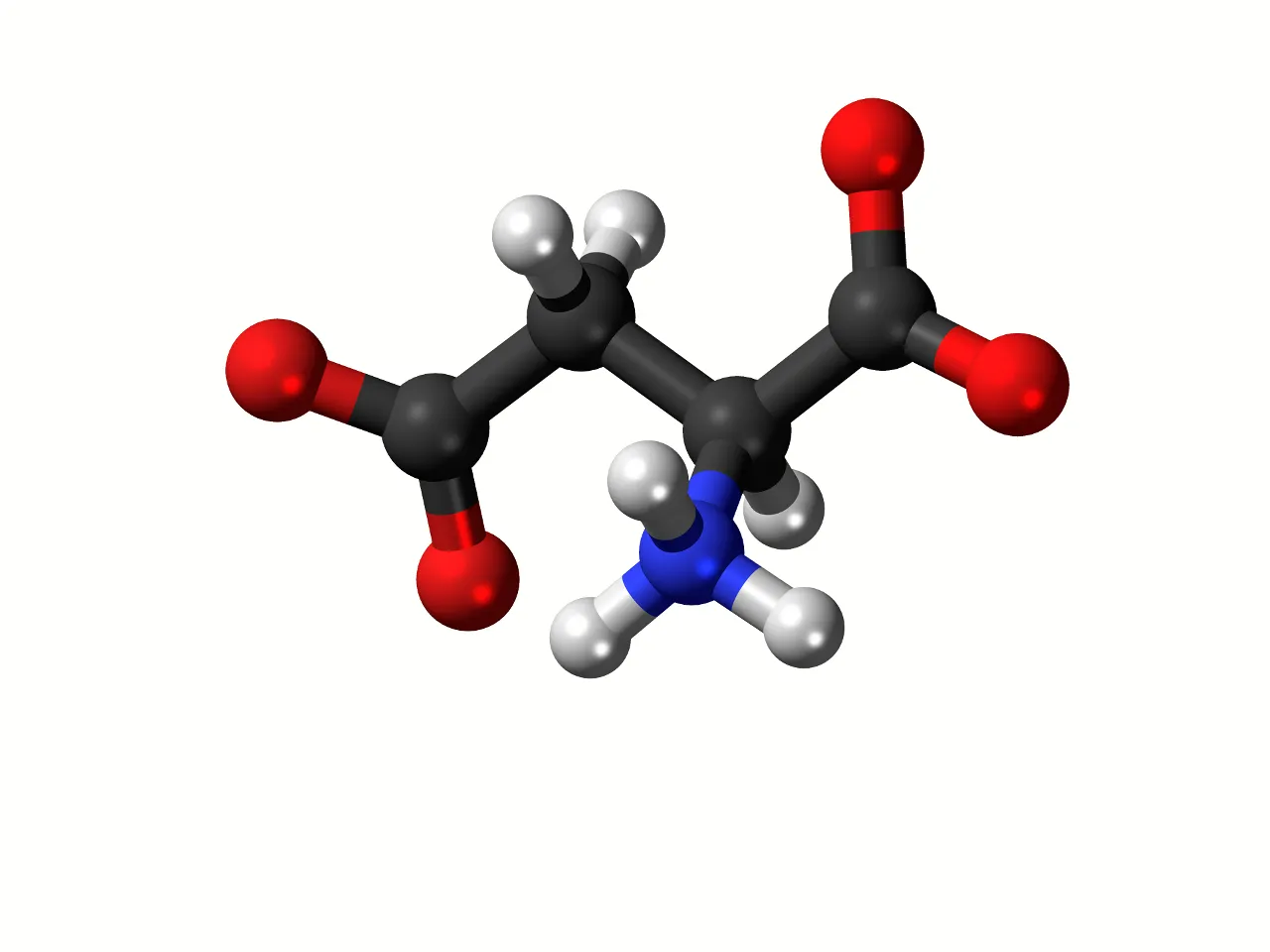 an image of a red and blue Amino acids