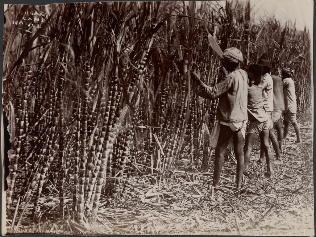 a group of men standing next to each other in a field