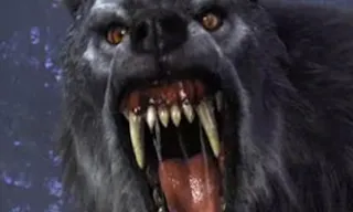 a close up of a black bear with its mouth open