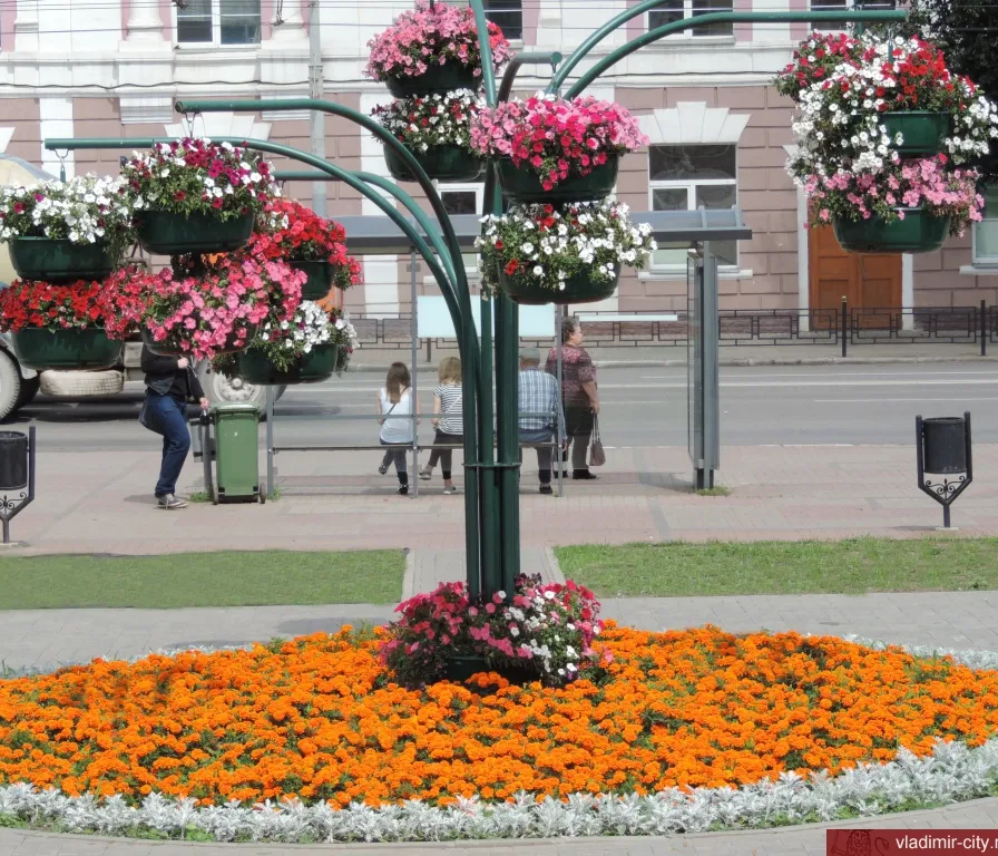 a flower bed with hanging baskets of flowers