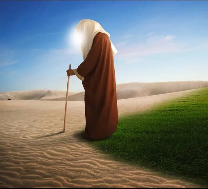 a person in a robe with a stick in the desert