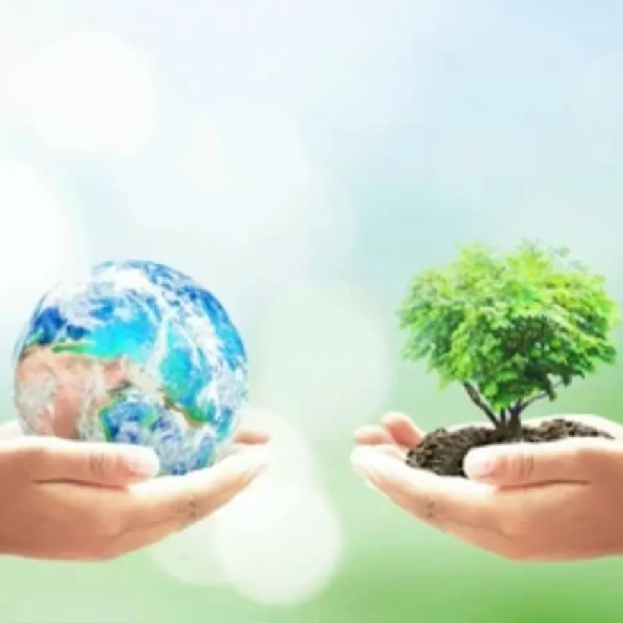 two hands holding a small tree and a small earth